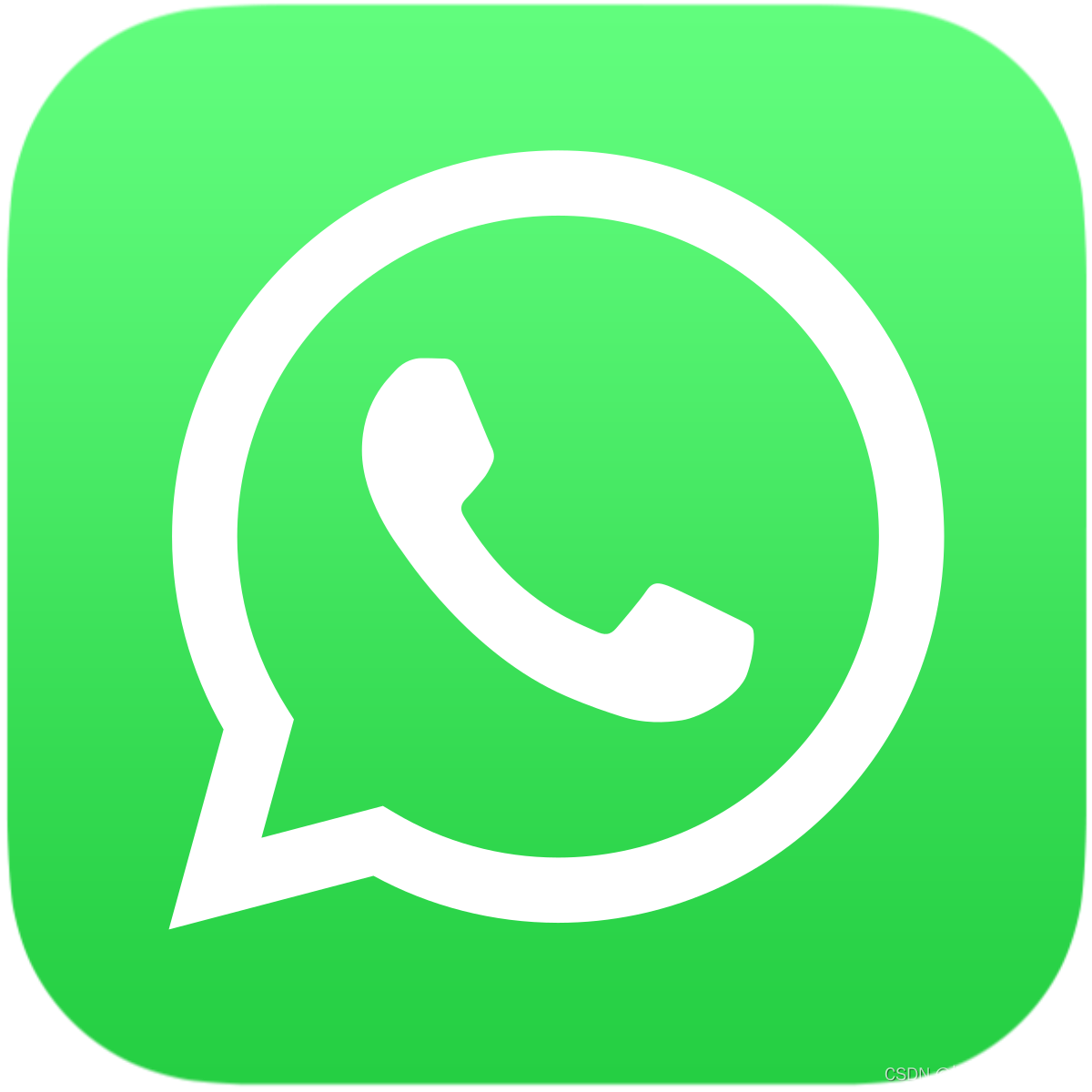 WhatsApp网页登录入口
